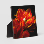 Rote Tulpen dunkler Hintergrund Fotoplatte (Vorderseite)