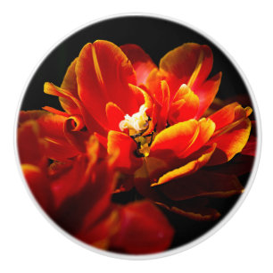 Rote Tulpen dunkler Hintergrund Keramikknauf