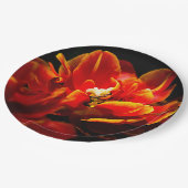 Rote Tulpen dunkler Hintergrund Pappteller (Schrägansicht)