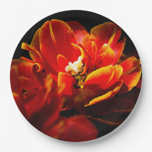 Rote Tulpen dunkler Hintergrund Pappteller