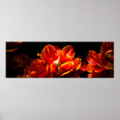 Rote Tulpen dunkler Hintergrund Poster (Vorne)
