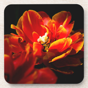 Rote Tulpen dunkler Hintergrund Untersetzer