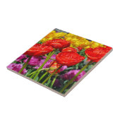 Rote Tulpen Fliese (Seite)