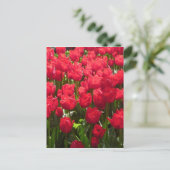 rote Tulpen Flora Postkarte (Stehend Vorderseite)