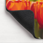 Rote Tulpen Fotodruck. Mousepad (Ecke)
