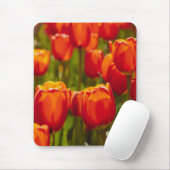 Rote Tulpen Fotodruck. Mousepad (Mit Mouse)