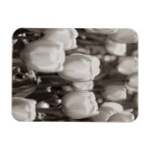 Rote Tulpen fotografischer Druck. Magnet (Horizontal)