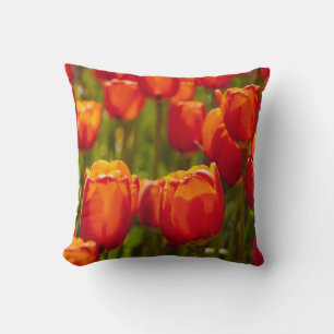 Rote Tulpen fotografischer Druck. Magnet Kissen