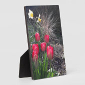 Rote Tulpen im Garten Fotoplatte (Seite)