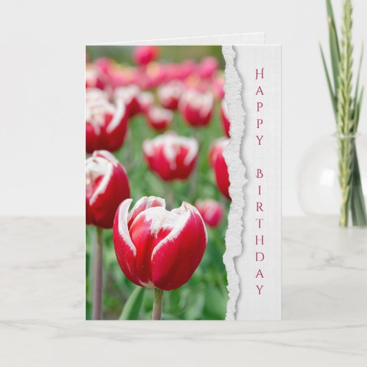 Rote Tulpen im Garten Geburtstag Karte (Vorderseite)