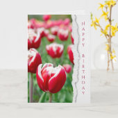 Rote Tulpen im Garten Geburtstag Karte (Gelbe Blume)