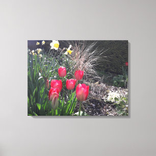 Rote Tulpen im Garten Leinwanddruck