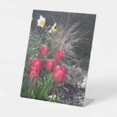 Rote Tulpen im Garten Sockelschild (Vorderseite)