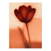 Rote Tulpen-Japanische Blumenabstraktion
