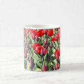 Rote Tulpen Kaffeetasse (Mittel)