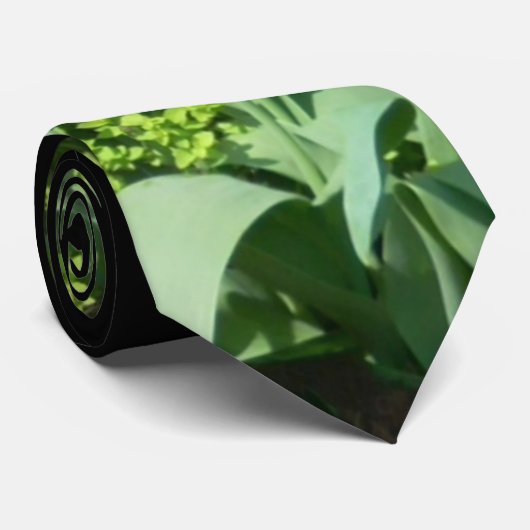 ROTE TULPEN KRAWATTE (Gerollt)