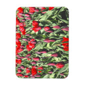 Rote Tulpen Magnet (Vertikal)