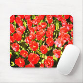 Rote Tulpen Mousepad (Mit Mouse)