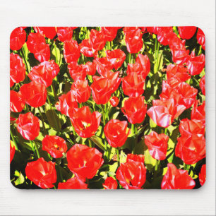 Rote Tulpen Mousepad