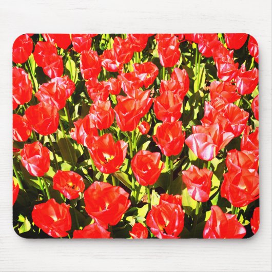 Rote Tulpen Mousepad (Vorne)