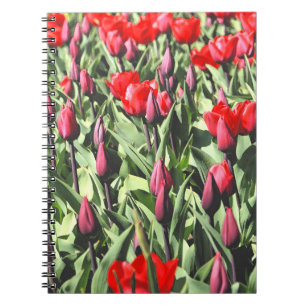 Rote Tulpen Notizblock