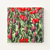 Rote Tulpen Notizblock (Rückseite)
