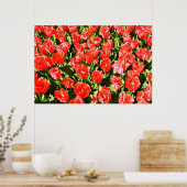 Rote Tulpen Poster (Küche)