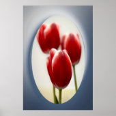 Rote Tulpen Poster (Vorne)