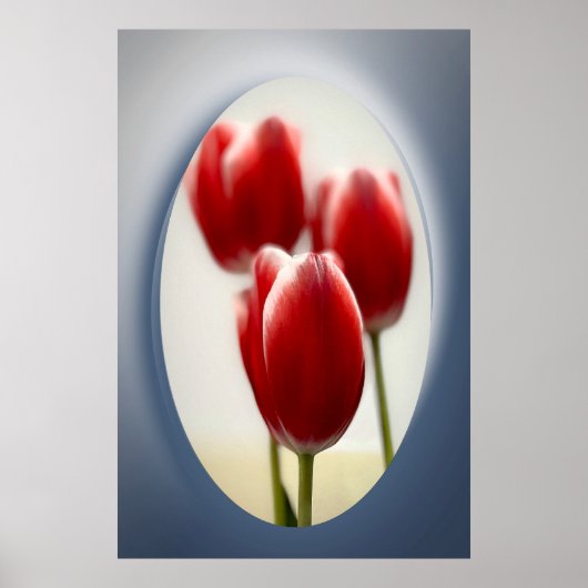 Rote Tulpen Poster (Vorne)