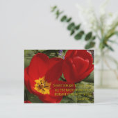 Rote Tulpen - Psalm 98:4 Postkarte (Stehend Vorderseite)
