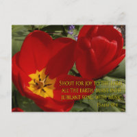 Rote Tulpen - Psalm 98:4 Postkarte