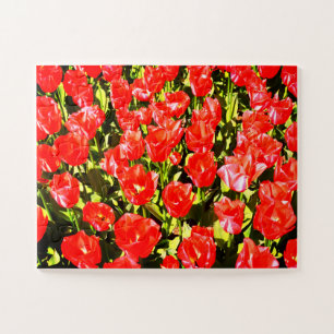 Rote Tulpen Puzzle