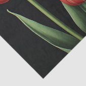 Rote Tulpen Seidenpapier (Detail)