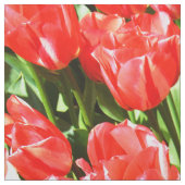 Rote Tulpen Stoff (Muster)