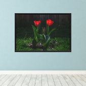 Rote Tulpen Stretch Leinwanddruck (Insitu (Holzboden))