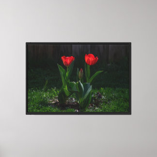 Rote Tulpen Stretch Leinwanddruck