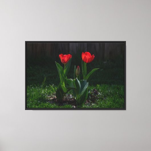 Rote Tulpen Stretch Leinwanddruck (Vorderseite)