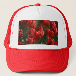 Rote Tulpen Truckerkappe