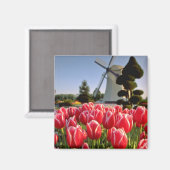 Rote Tulpen und Blume Magnet (Vorderseite/Rückseite)