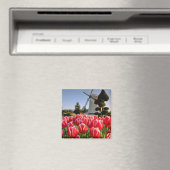 Rote Tulpen und Blume Magnet (In Situ (Geschirrspüler))