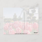 Rote Tulpen und Blume Postkarte (Rückseite)