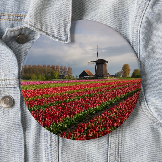 Rote Tulpen und eine Windmühle Button (Beispiel)