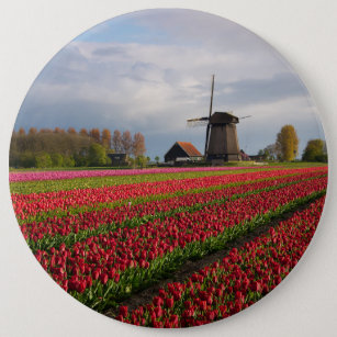 Rote Tulpen und eine Windmühle Button