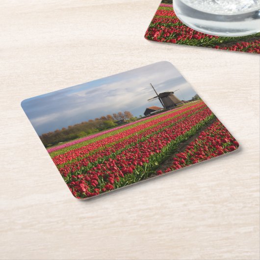 Rote Tulpen und eine Windmühle Rechteckiger Pappuntersetzer (angewinkelt)