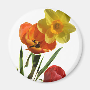 Rote Tulpen und gelbe Osterglockenblumen Magnet