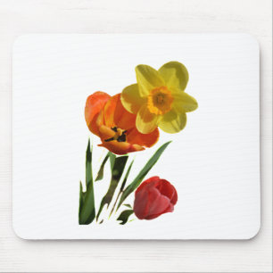 Rote Tulpen und gelbe Osterglockenblumen Mousepad
