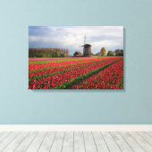 Rote Tulpen und Windmühle Leinwanddruck (Insitu (Holzboden))