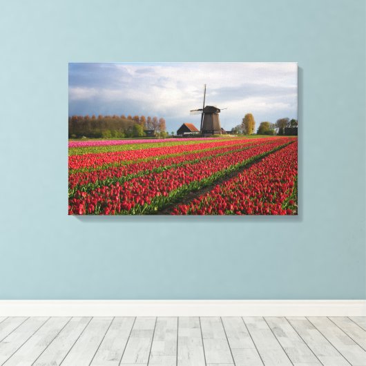 Rote Tulpen und Windmühle Leinwanddruck (Insitu (Holzboden))