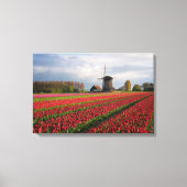 Rote Tulpen und Windmühle Leinwanddruck (Vorderseite)