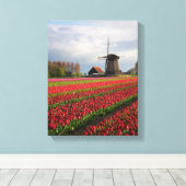 Rote Tulpen und Windmühle Leinwanddruck (Insitu (Holzboden))